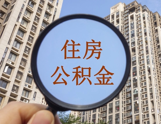 孟津退休后查不到公积金明细了吗（退休后公积金查询不到原因）